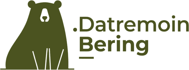 Datremoin Bering Logo