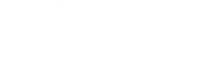 Datremoin Bering Logo